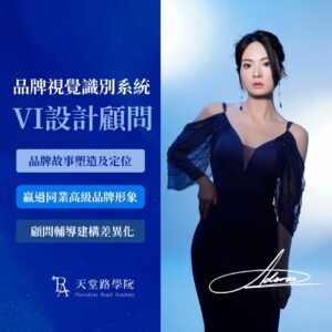 顧問方案範例
